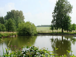 l'Etang meubl&eacute; de tourisme