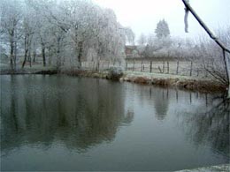 le gite vu de l'etang
