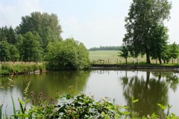 L&rsquo;&eacute;tang